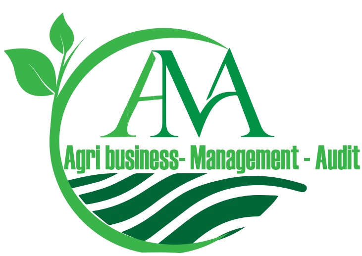 L'histoire d'AMA Consulting