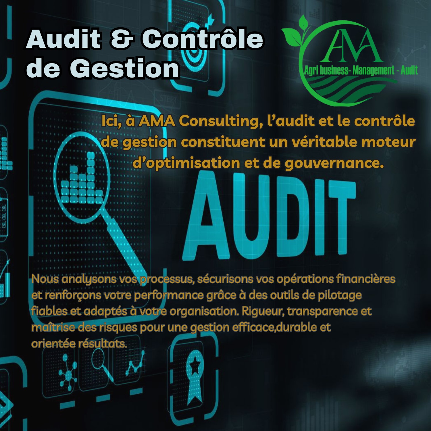 Expert Audit