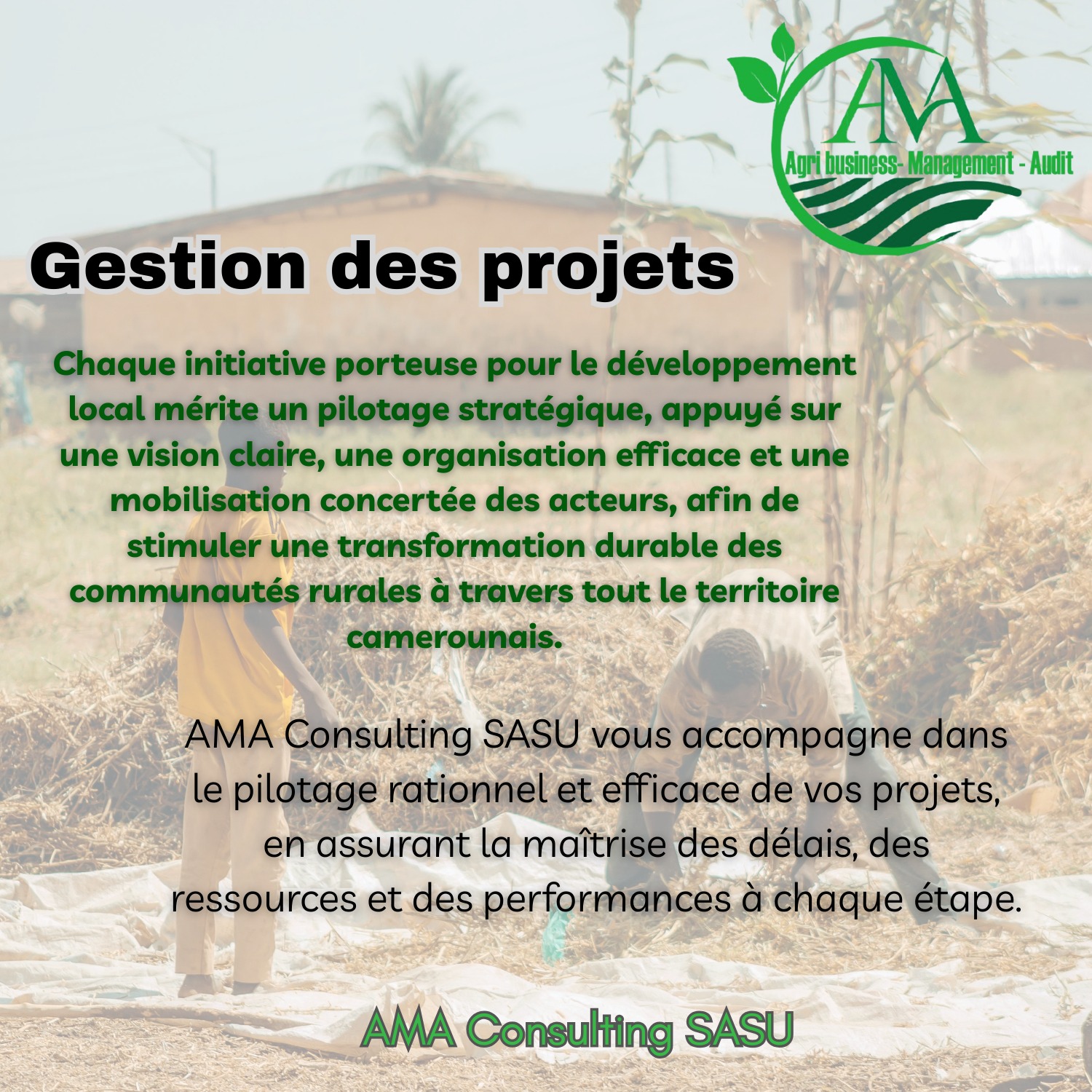 Import-Export et Commerce